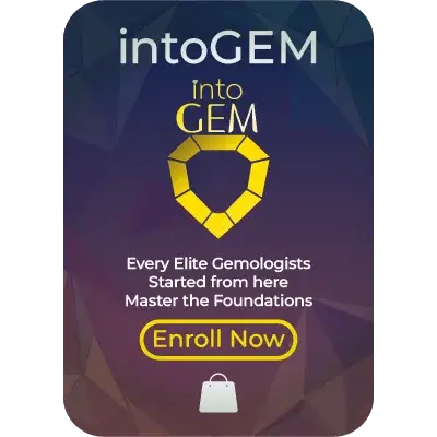 intoGEM — Start Here